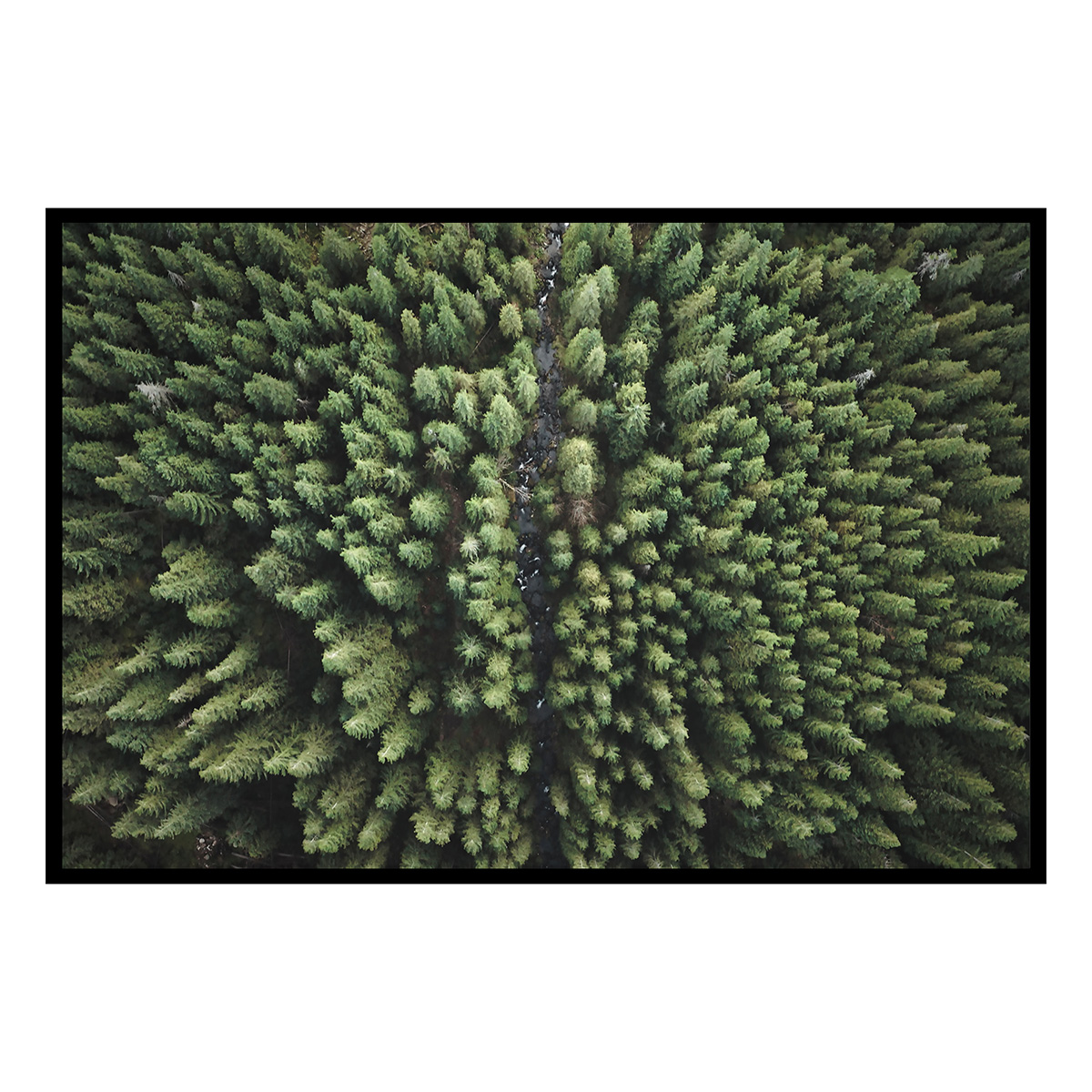 Affiche encadrée forêt vue du ciel, HEXOA