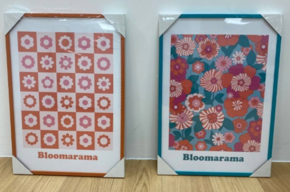 Affiche encadrée motif fleurs 50x70cm CHA CHA POP, ATMOSPHERA