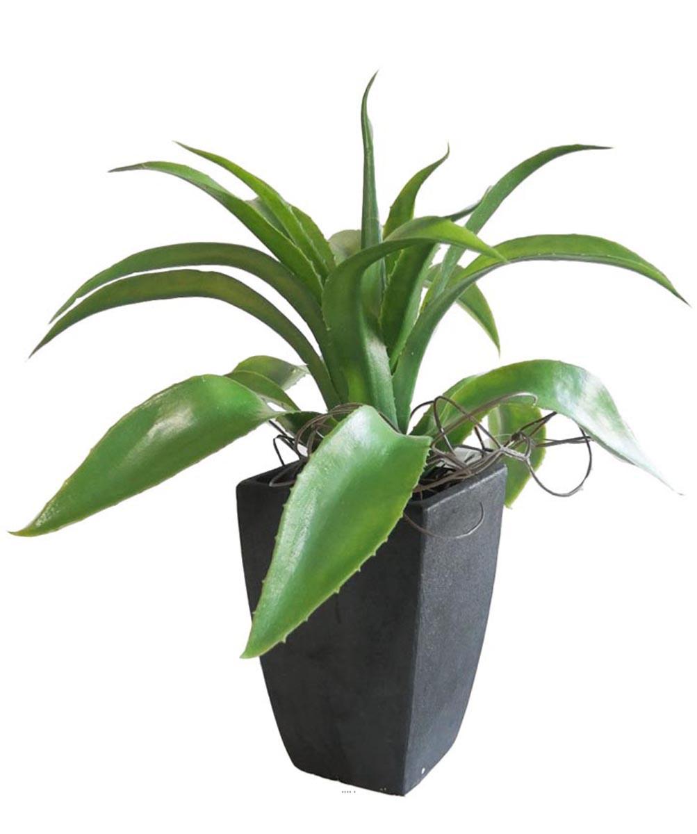 Agave Succulente plante artificielle cactée, ARTIFICIELLES