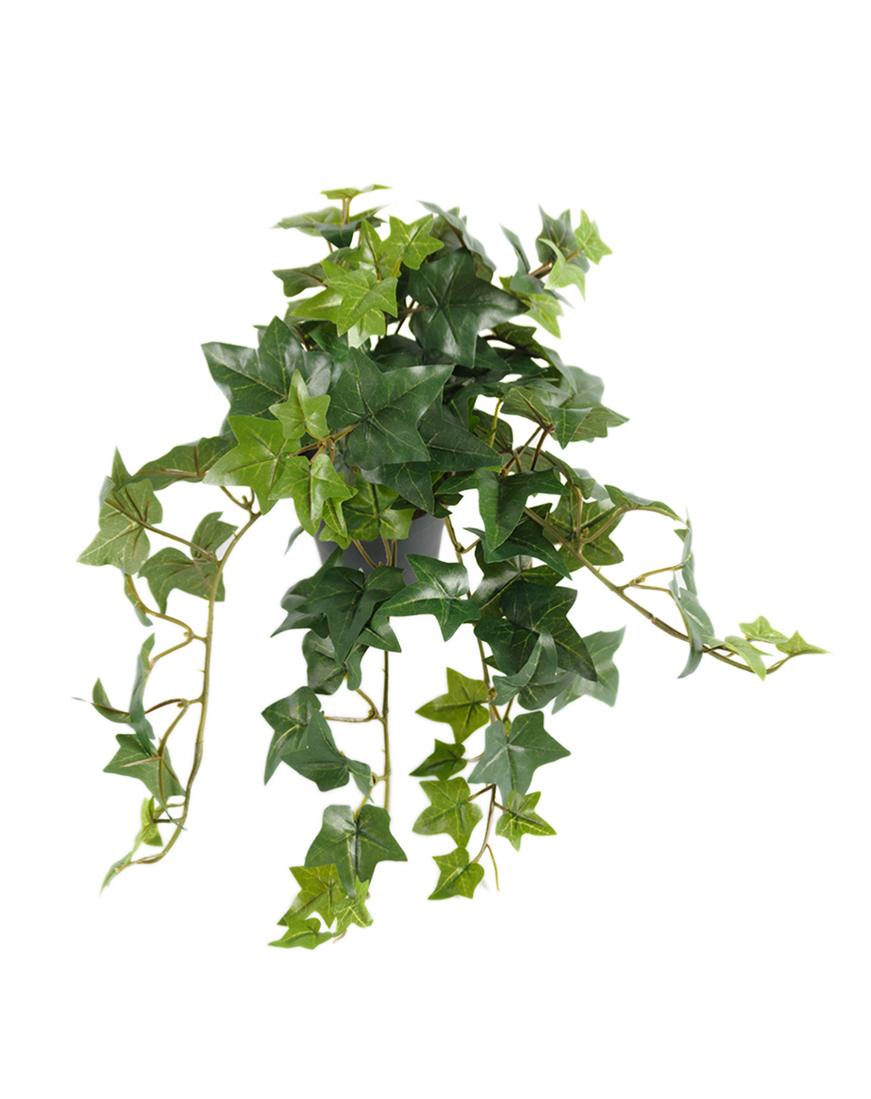 Lierre artificiel retombant en pot, H 30 c, ARTIFICIELLES