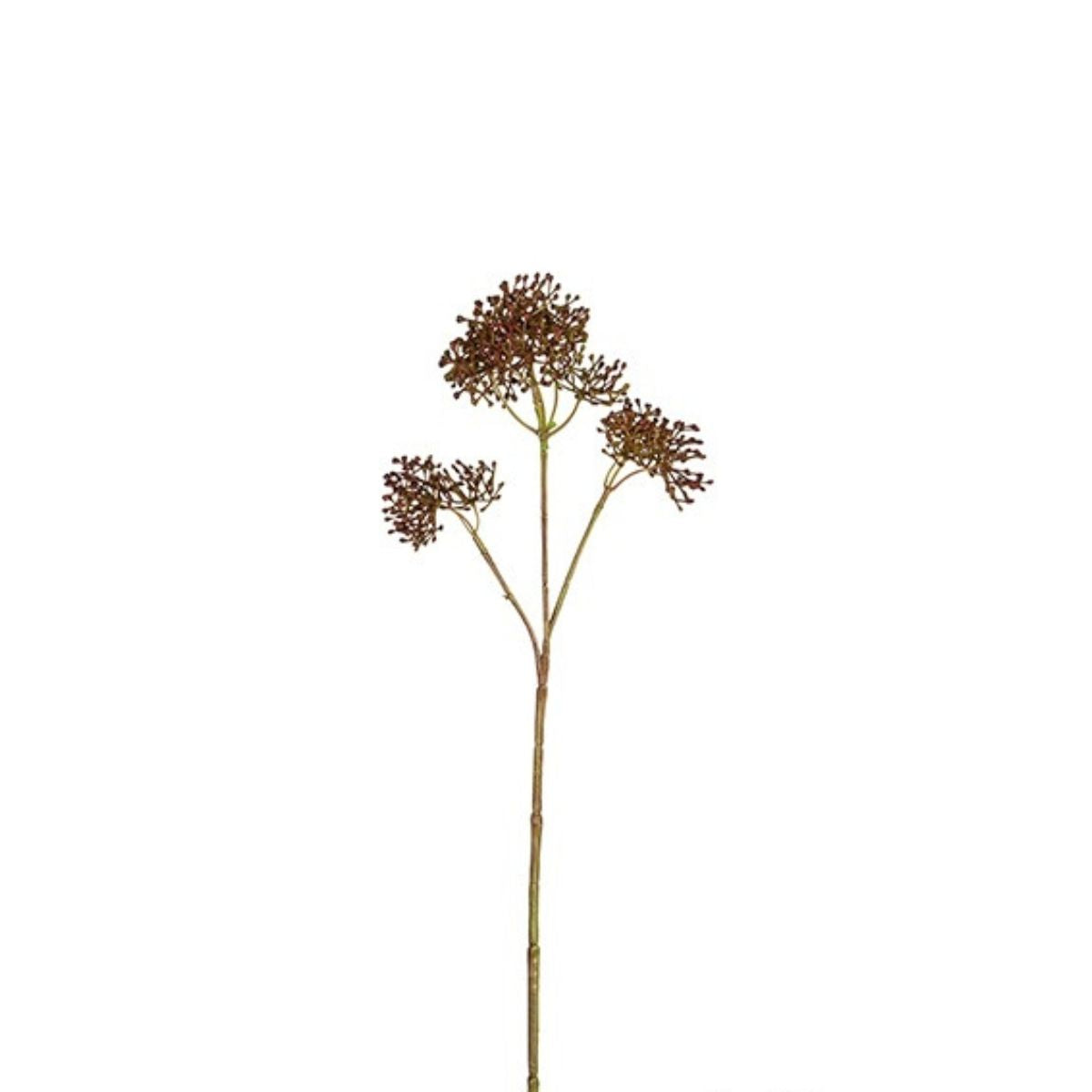 Feuillage de skimmia artificiel H90, SIA DECO