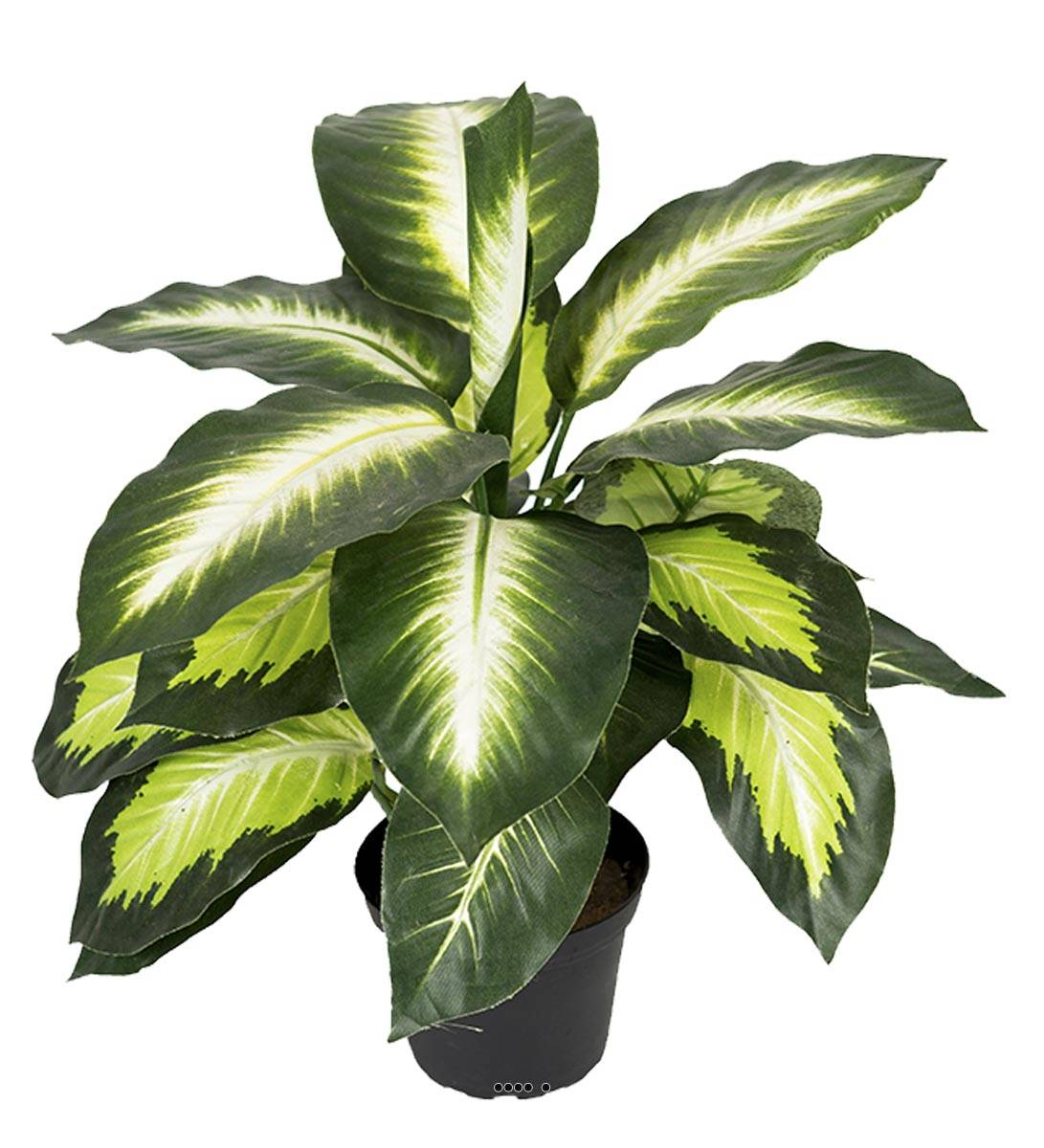 Dieffenbachia factice en pot H38cm feui, ARTIFICIELLES