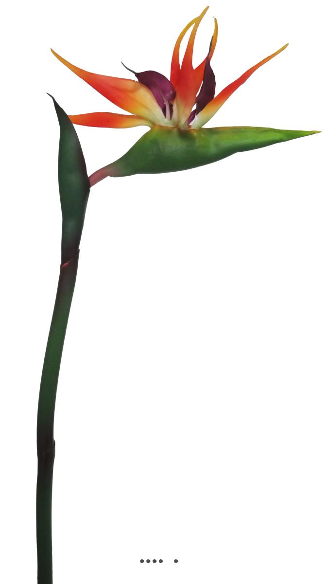 Strelizia Arabica artificiel H 80 cm oiseau, ARTIFICIELLES