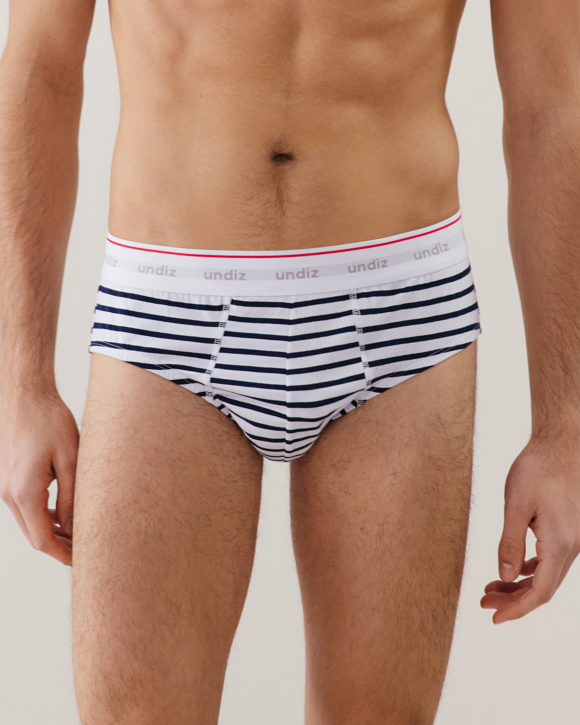 Slip en coton RAYISLIPIZ, UNDIZ