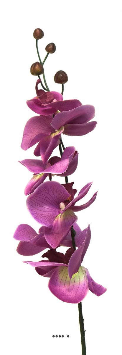 Tige d’orchidée phalaenopsis artificiel, ARTIFICIELLES