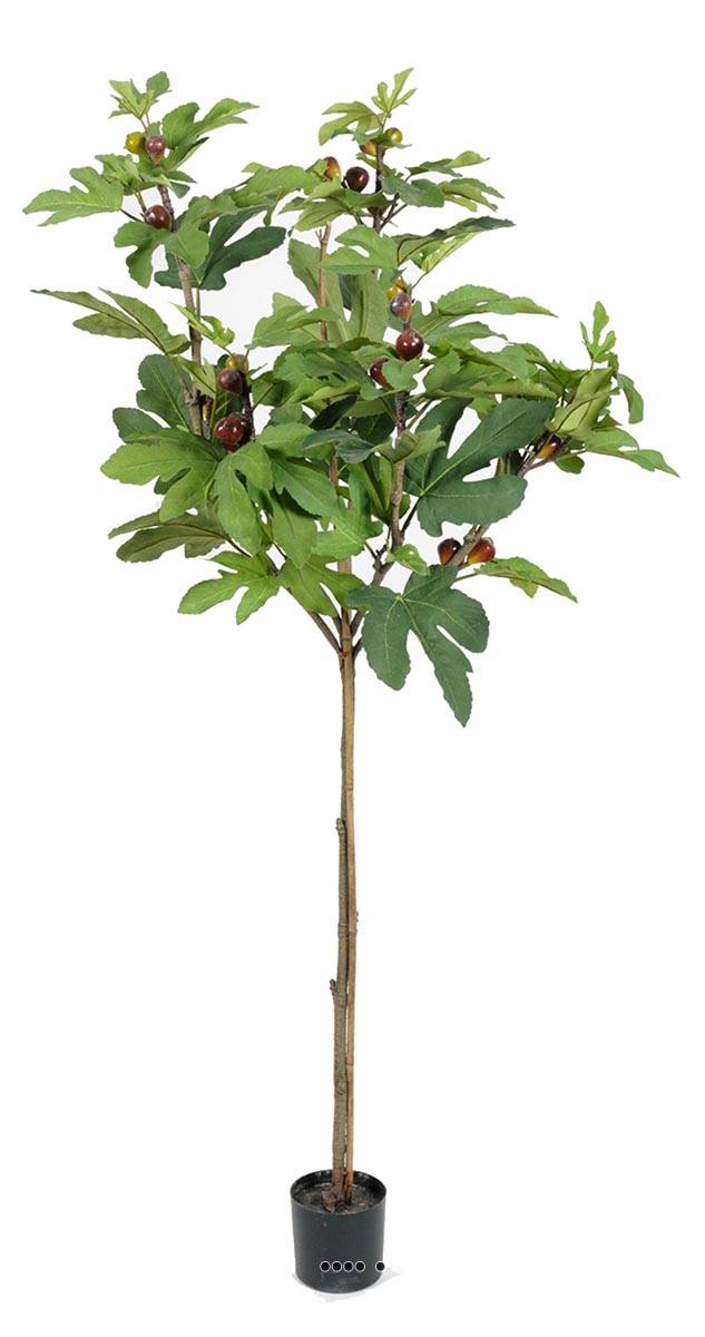 Figuier tige artificiel en pot avec fruits, ARTIFICIELLES