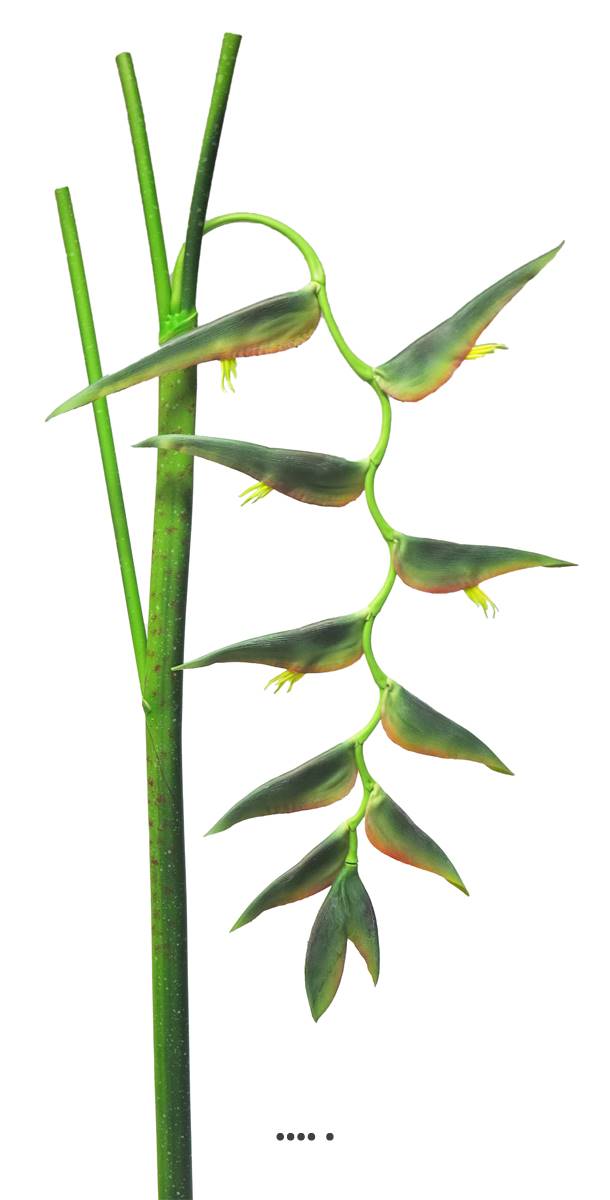 Branche d’Heliconia Equatorial, L 128, ARTIFICIELLES