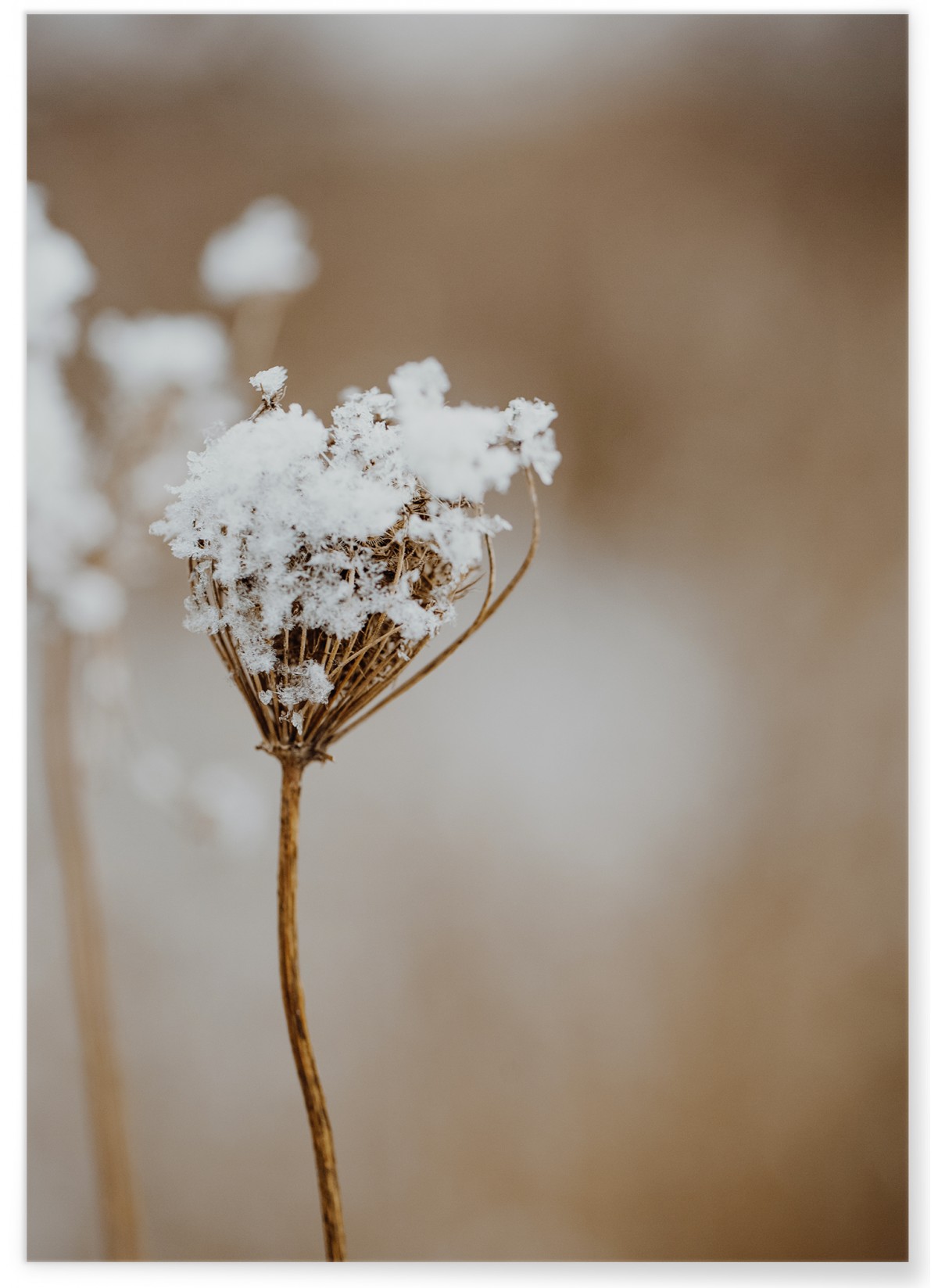 Poster Nature Winter 1, L'AFFICHERIE
