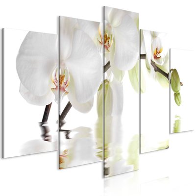 Tableau Orchidée Merveilleuse (5 Parties) Large ARTGEIST