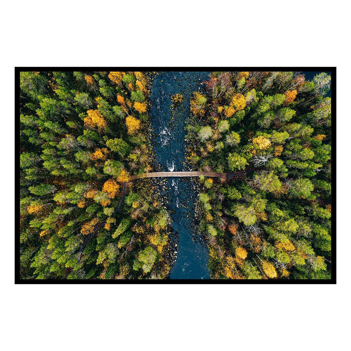Affiche encadrée forêt d’automne vue du ciel, HEXOA