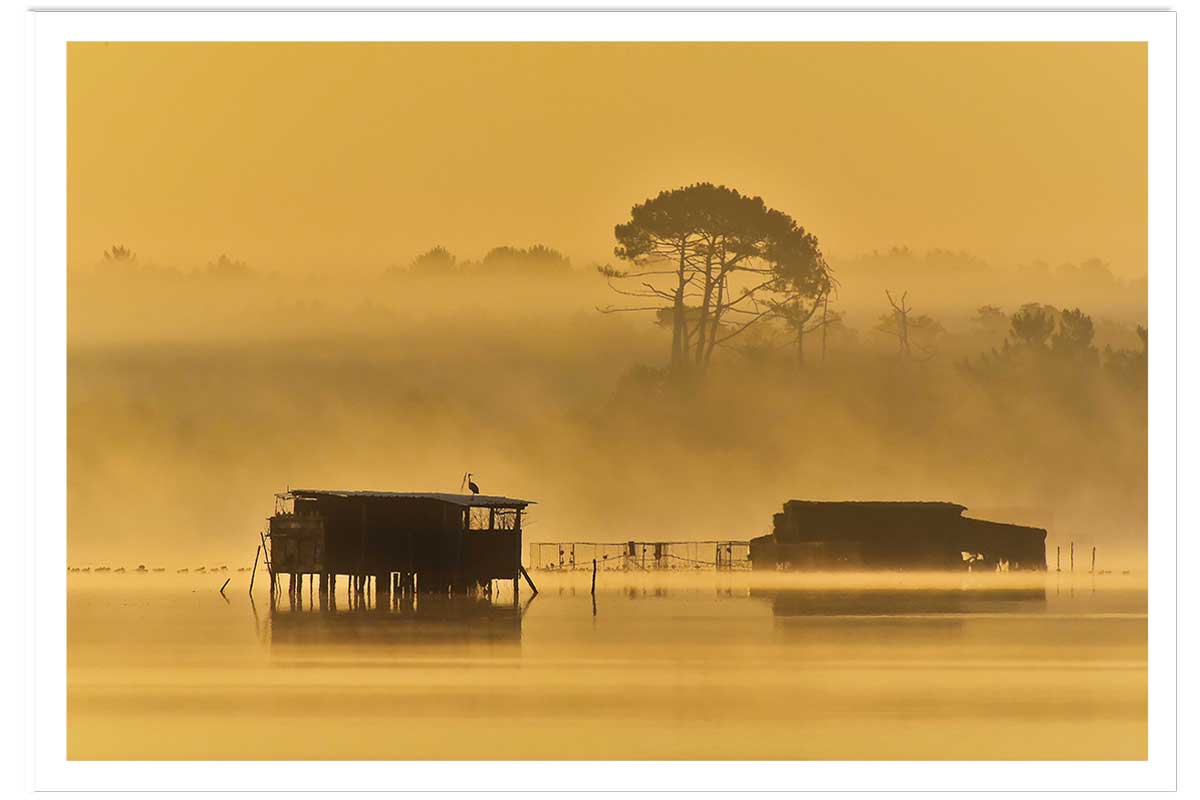 Affiche photo tonne landaise au petit matin, HEXOA