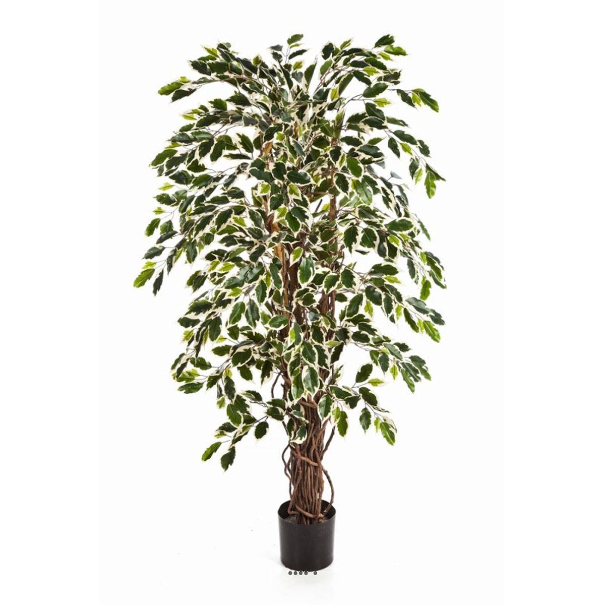 Ficus Lianes artificiel panache H 120 cm, ARTIFICIELLES