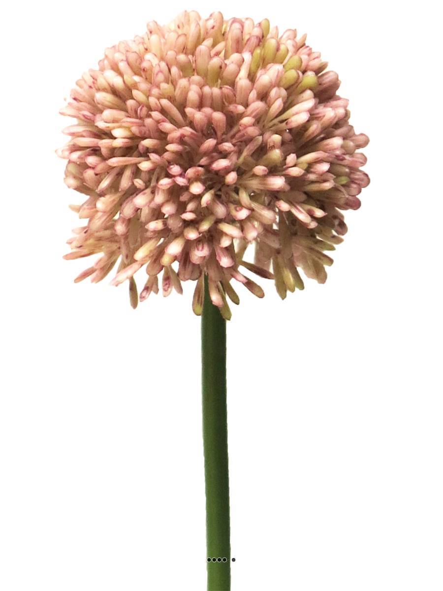 Allium artificiel en tige H 45 cm Rose, ARTIFICIELLES