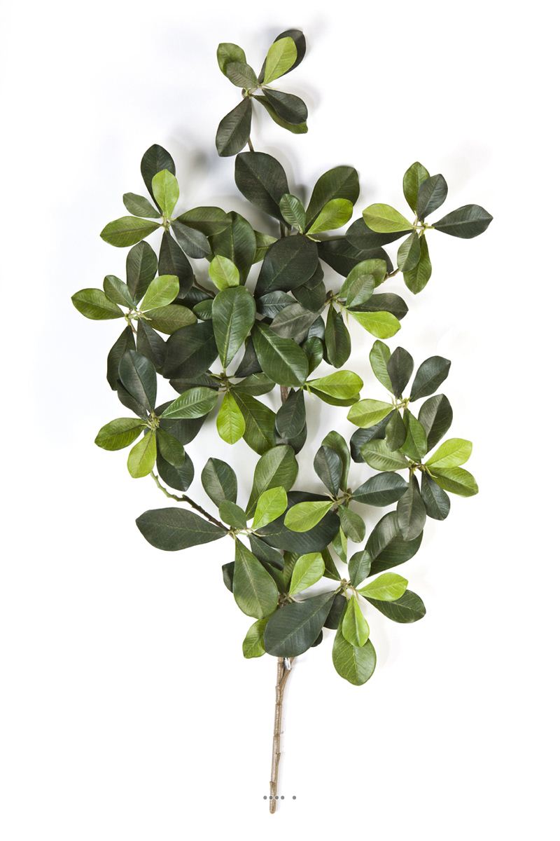 Branche Olivier oriental artificiel H 55 cm, ARTIFICIELLES