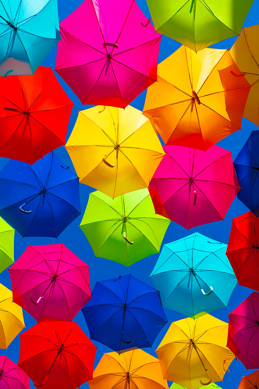 Tableau ciel de parapluies, HEXOA