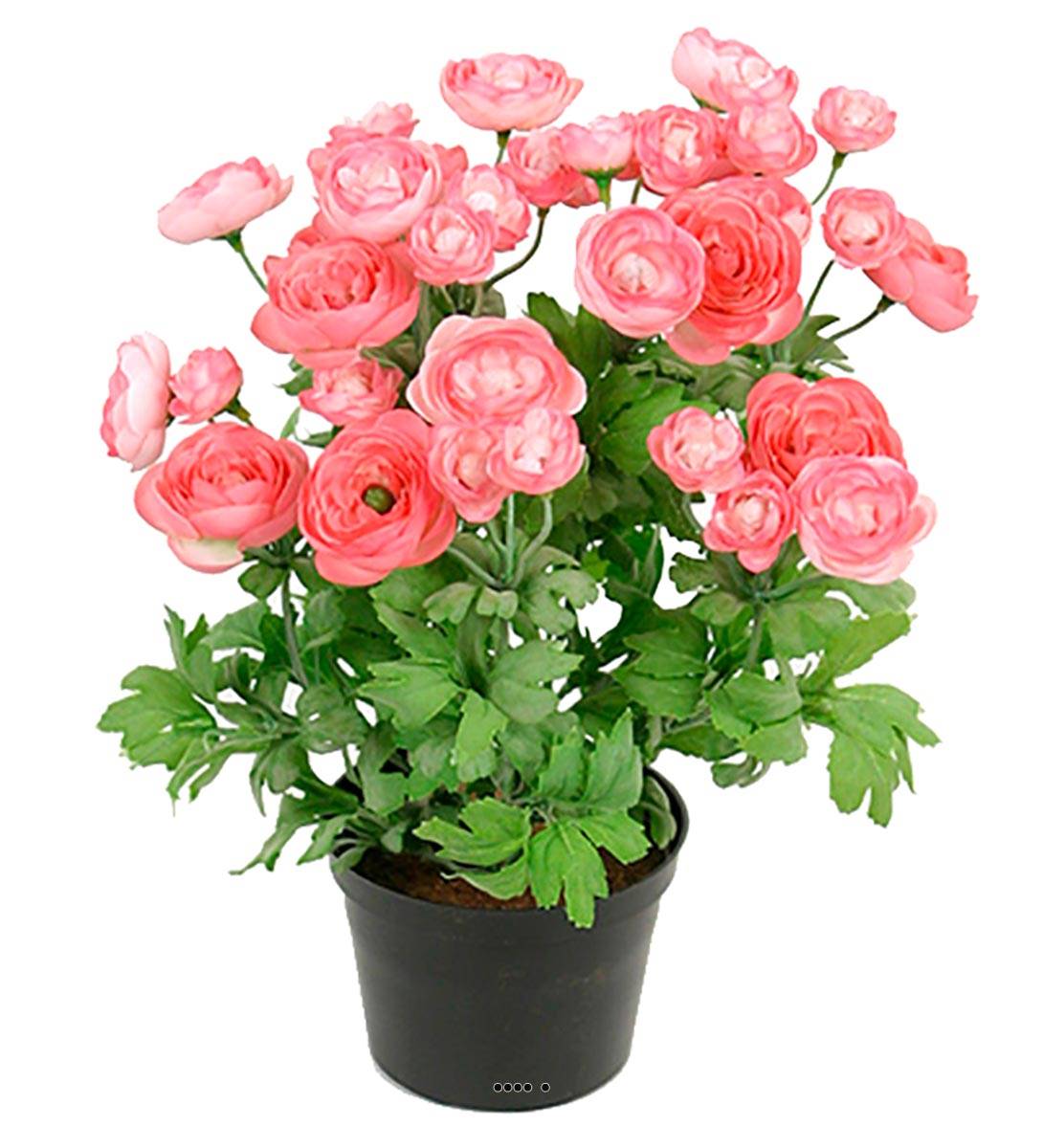 Renoncule factice en pot H28cm 32 fleurs lumi, ARTIFICIELLES