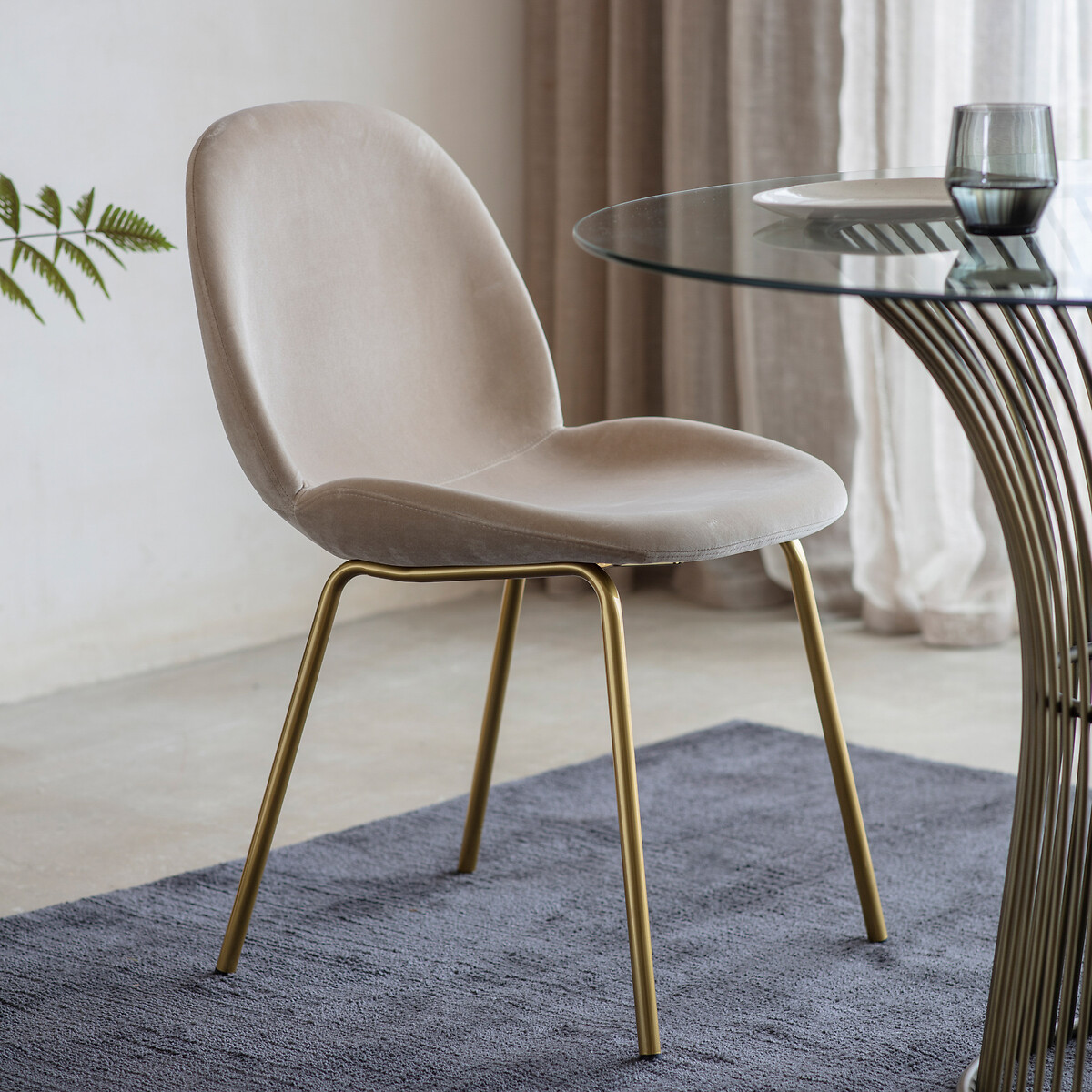 Rewari Velvet Dining Chair with Gold Legs (Set of 2), ÉDITÉ
