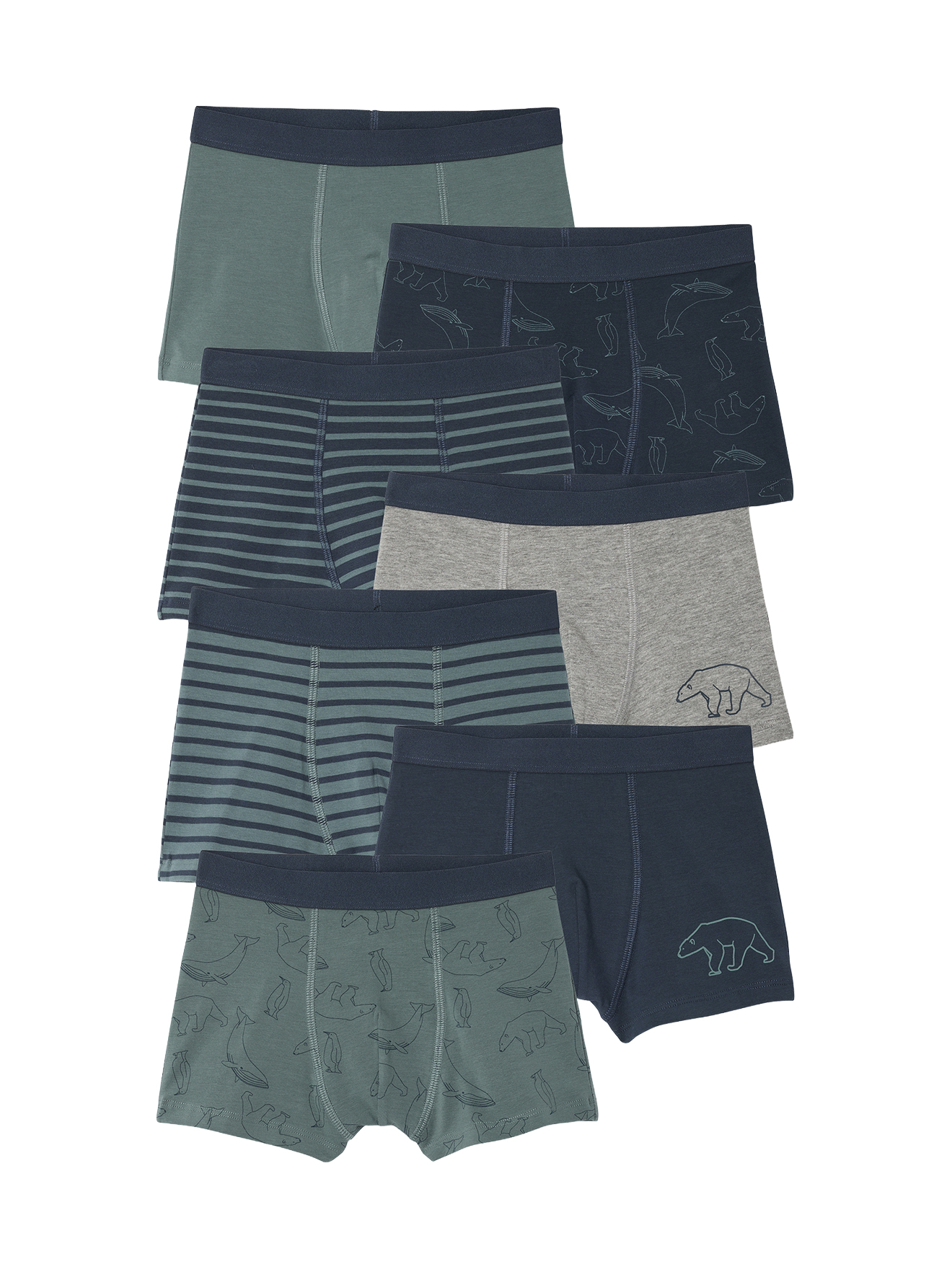 Lot de 7 Boxers Garçon Rayés et Imprimés Ours, VERTBAUDET