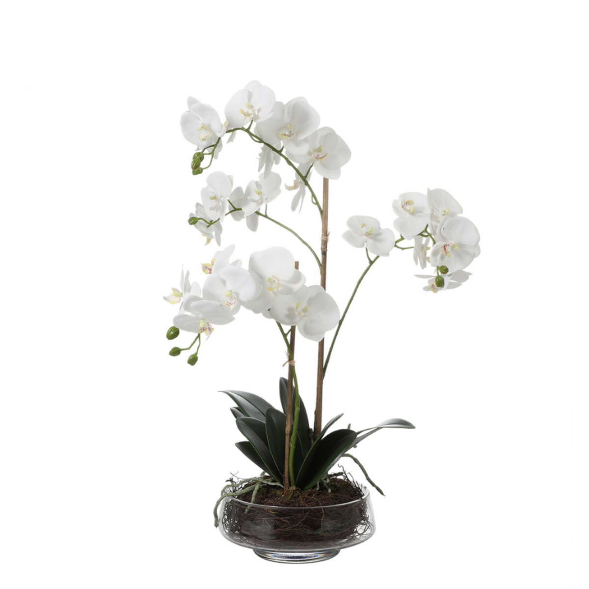 Orchidée artificielle en pot H56, SIA DECO