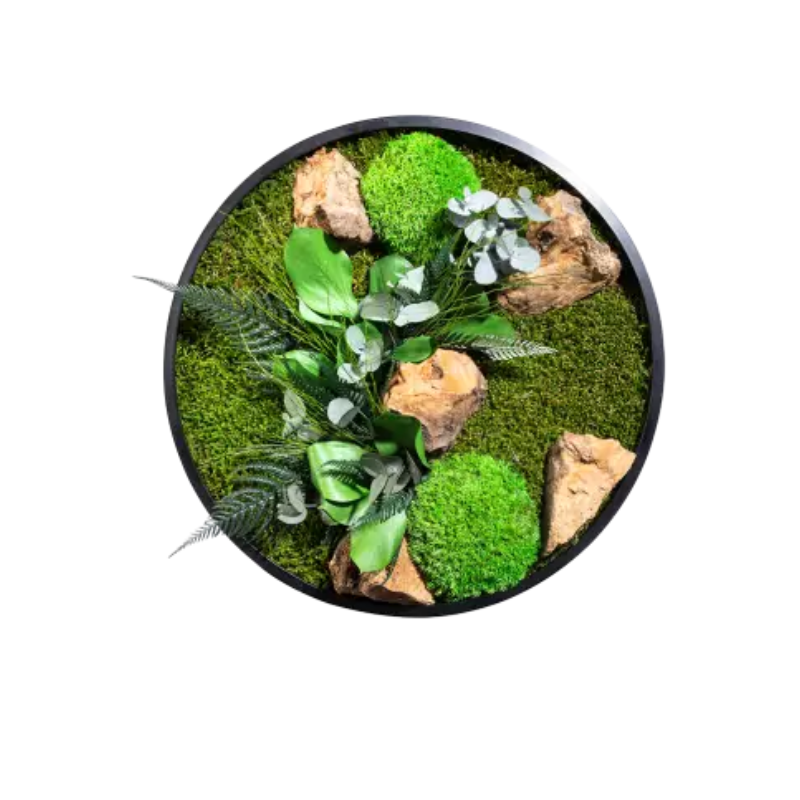 Tableau végétal mural stabilisé rond 35cm, NATURALYS