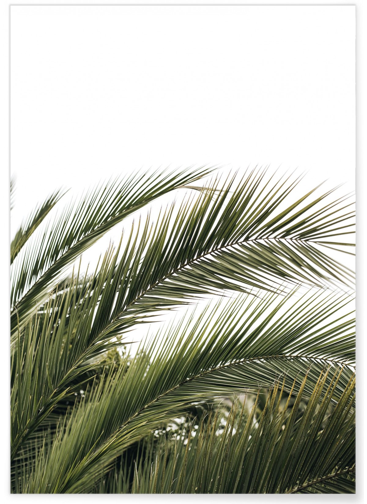 Poster Nature verte n°3, L'AFFICHERIE