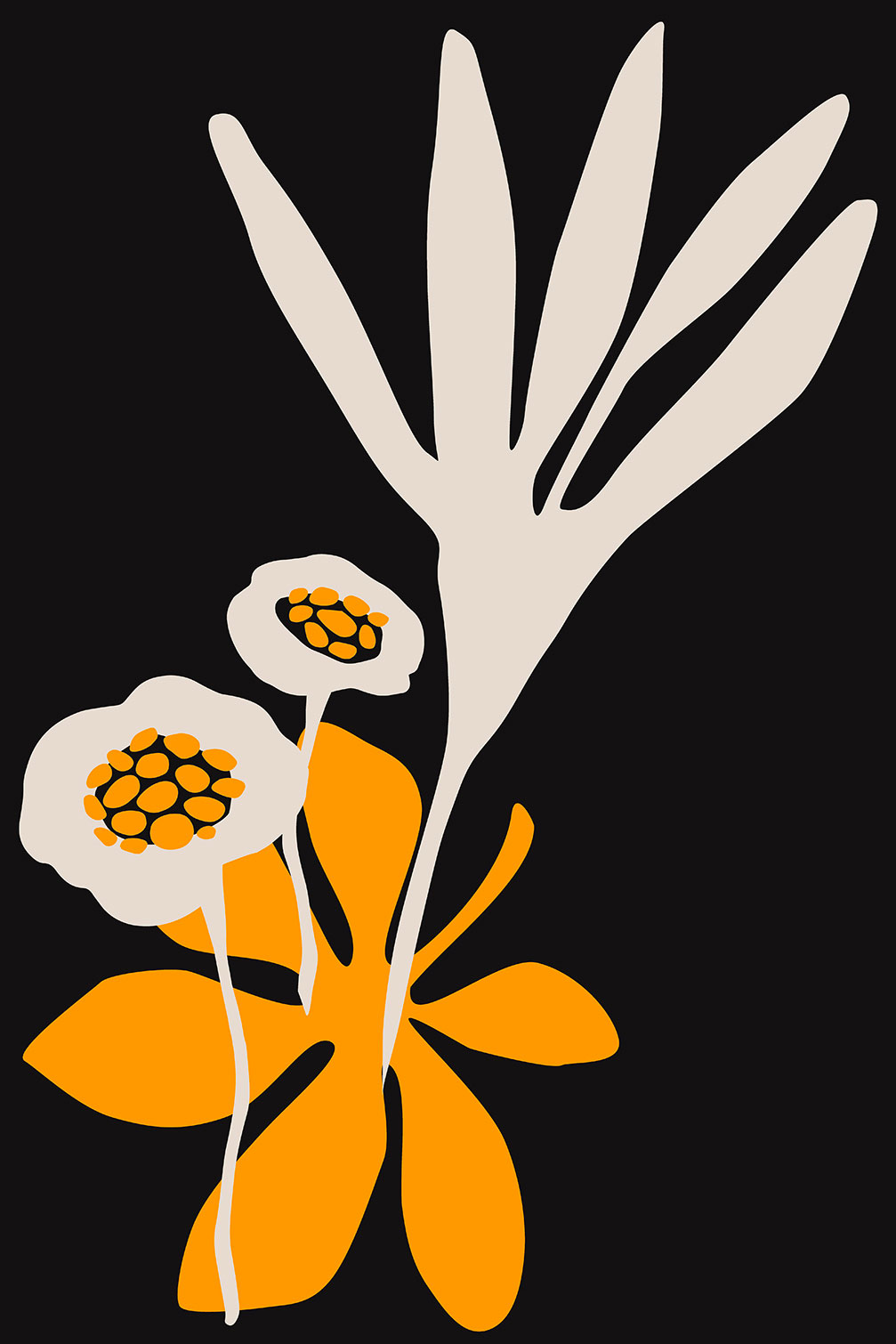 Tableau fleurs colchiques, HEXOA
