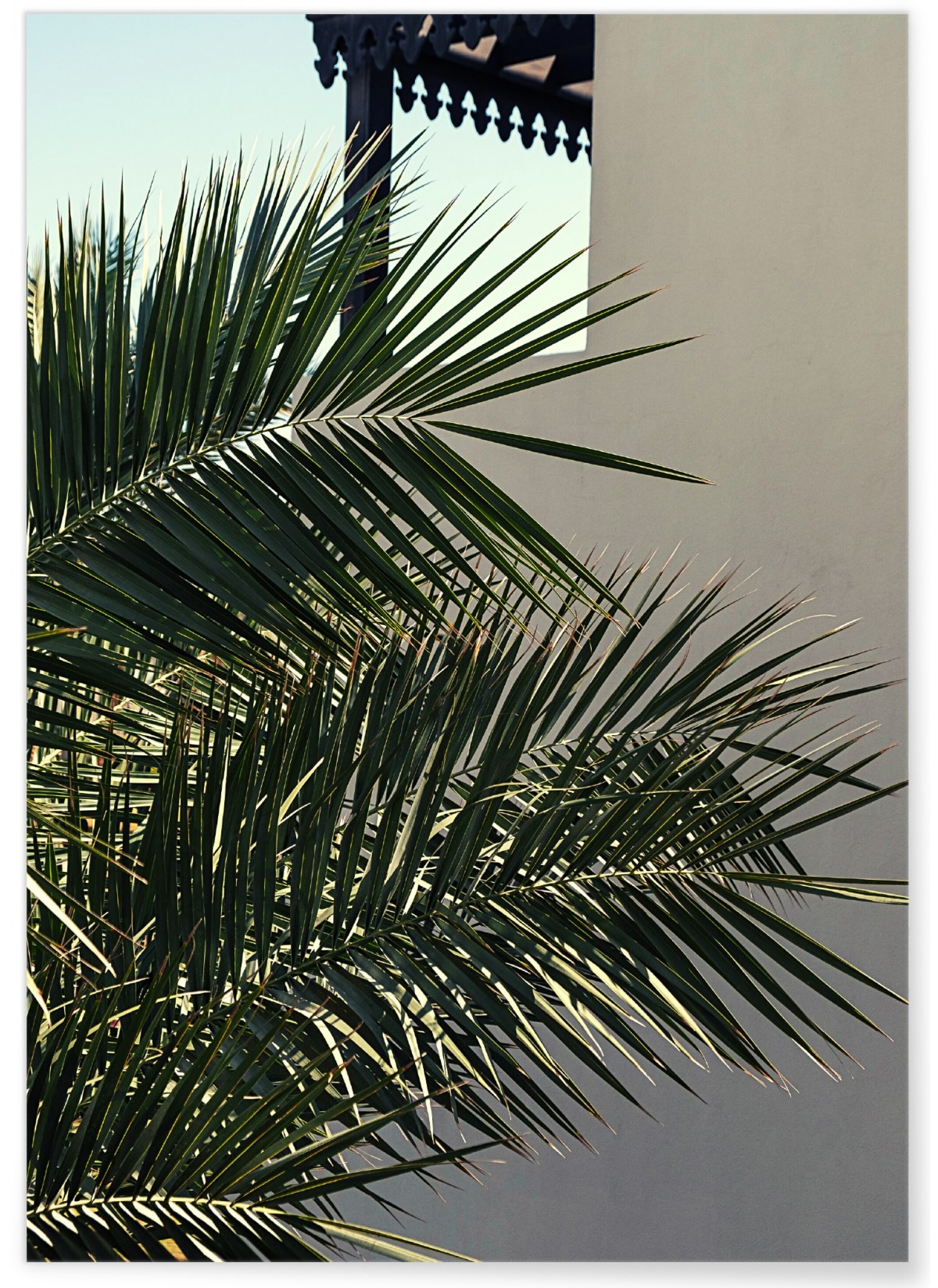 Affiche Nature Palmier, L'AFFICHERIE