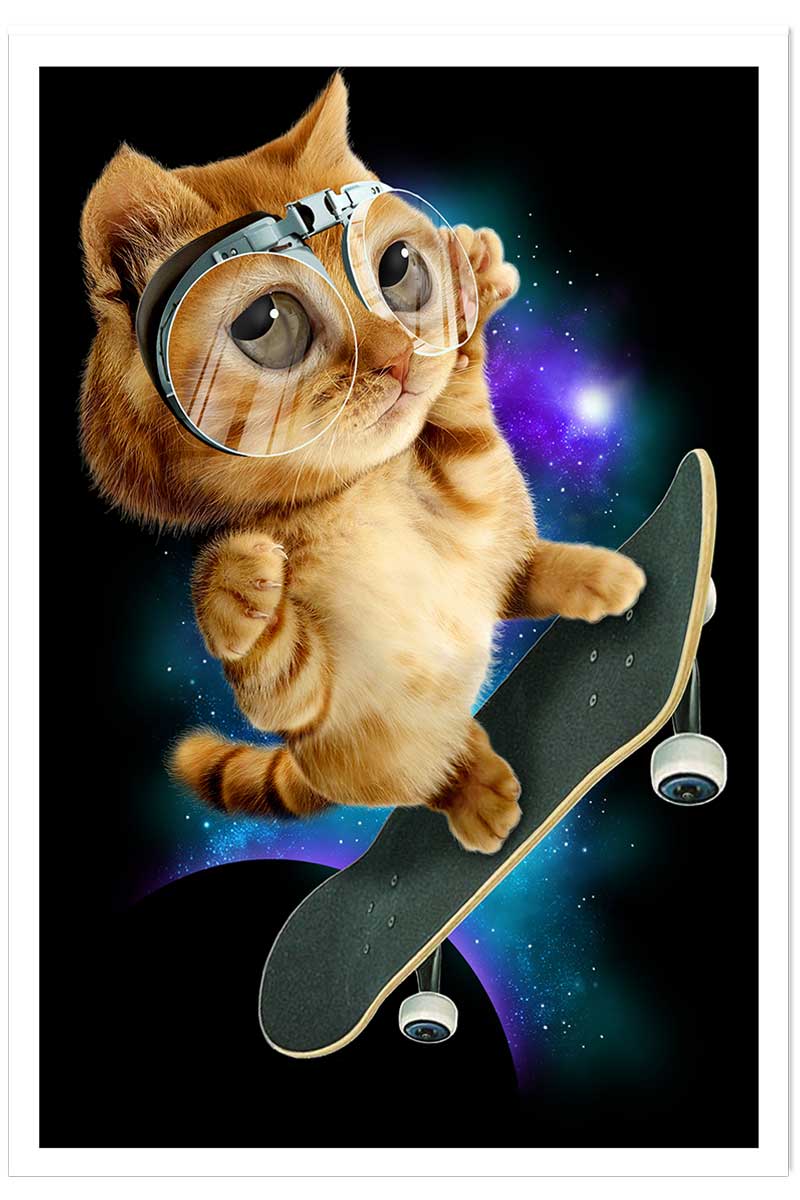 Affiche enfant skate chat, HEXOA