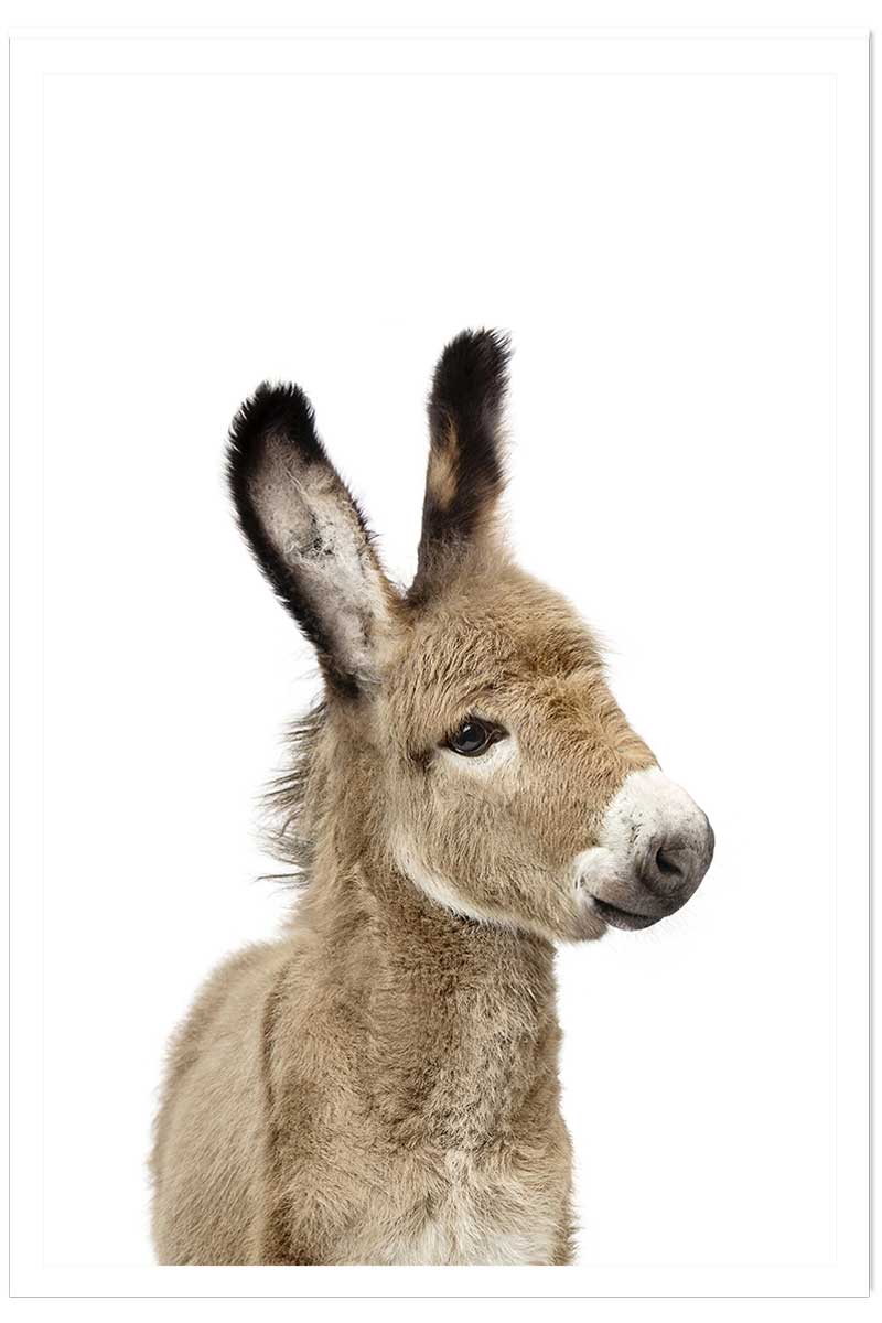 Affiche enfant anon, HEXOA