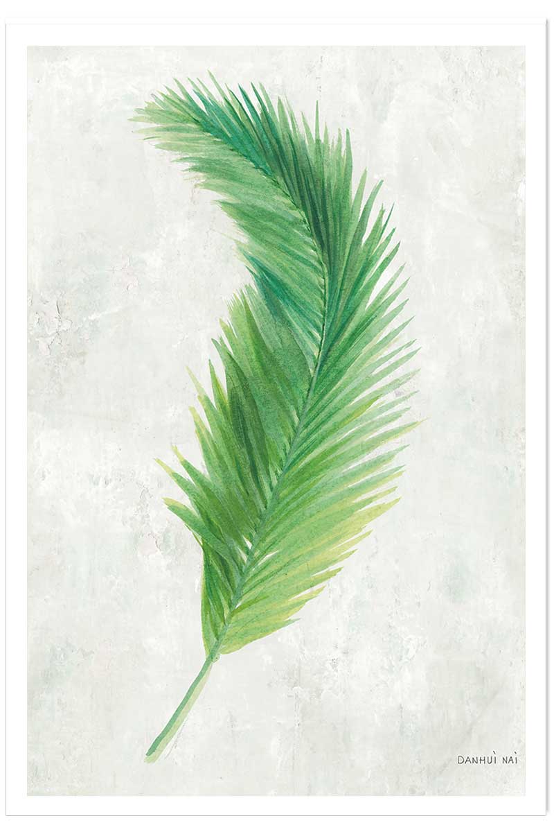 Affiche palme tropicale illustrée, HEXOA