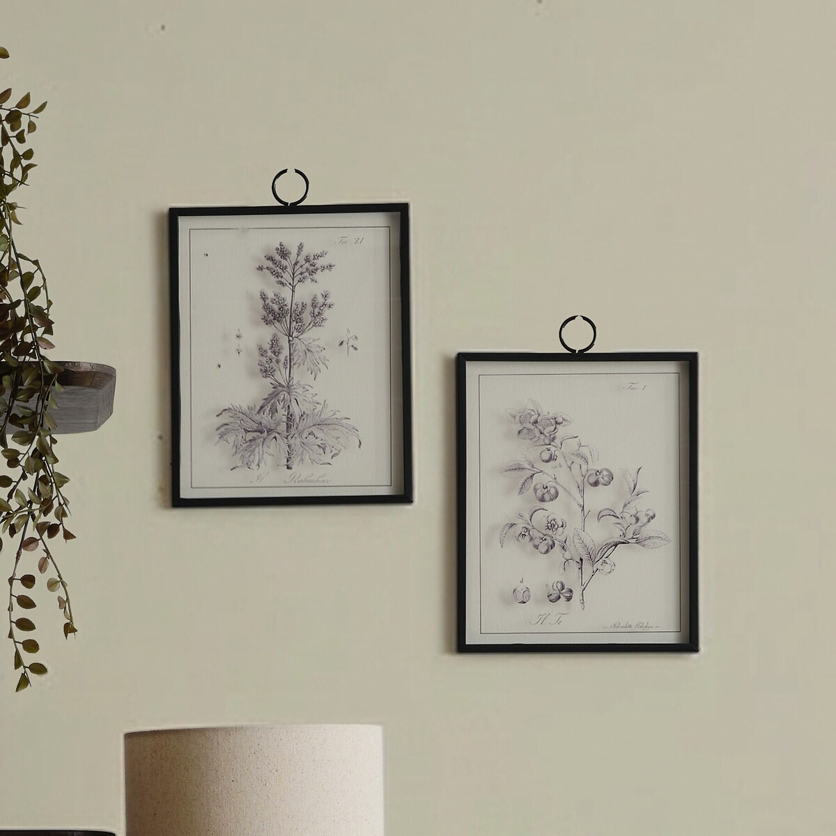 Set of 2 Petiole Art, ÉDITÉ