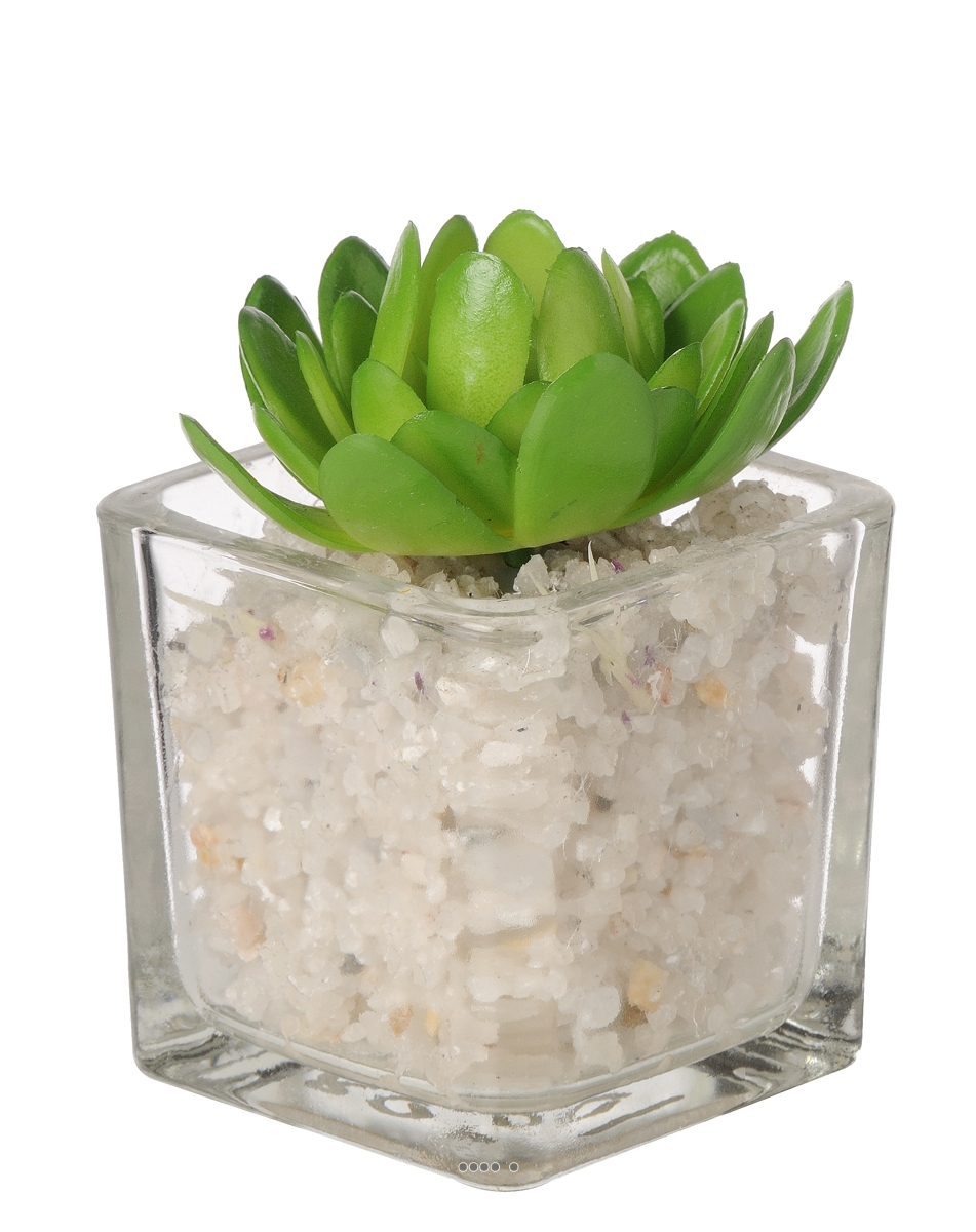 Echeveria artificielle succulente en pot, ARTIFICIELLES