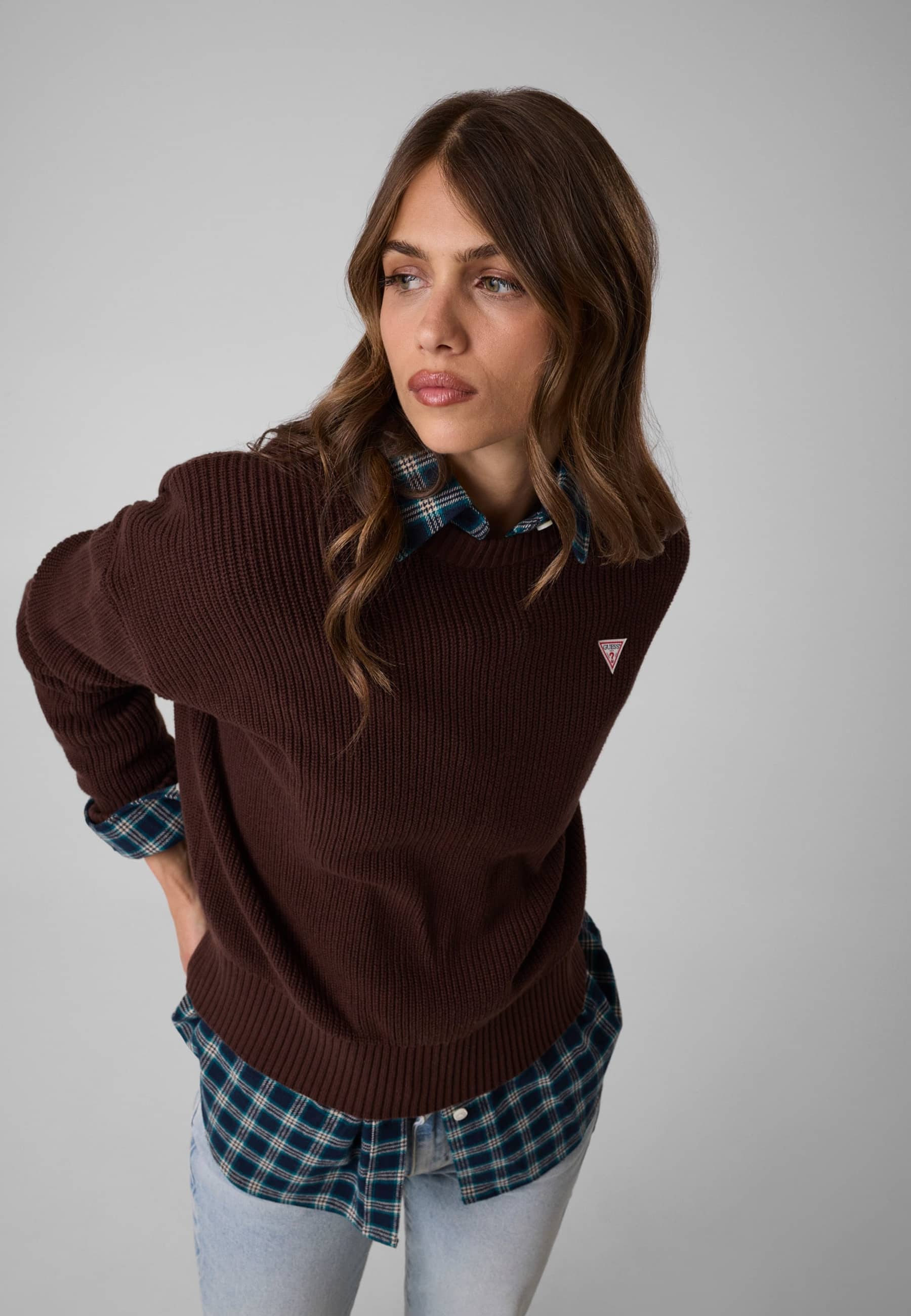 Pull À Logo Triangulaire, GUESS JEANS