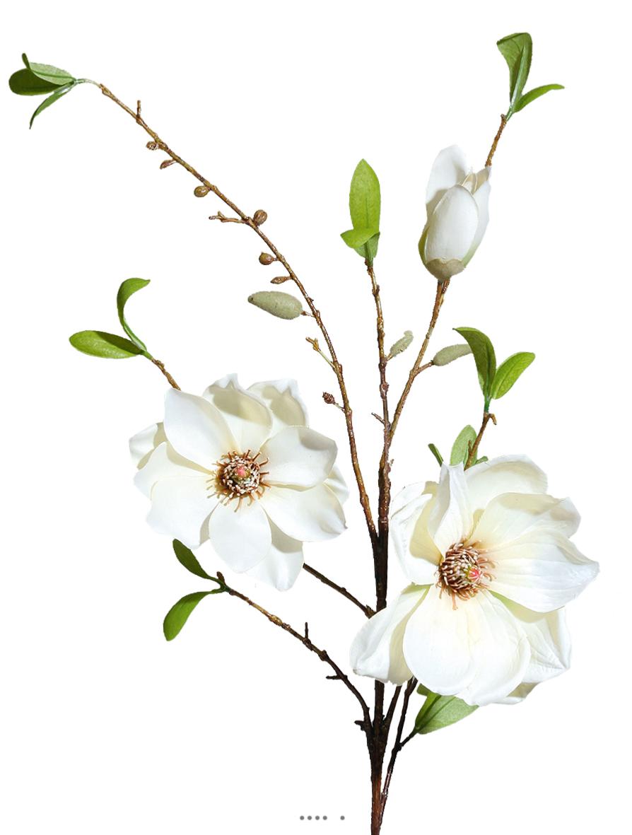 Magnolia artificiel H 90 cm crème en branche, ARTIFICIELLES