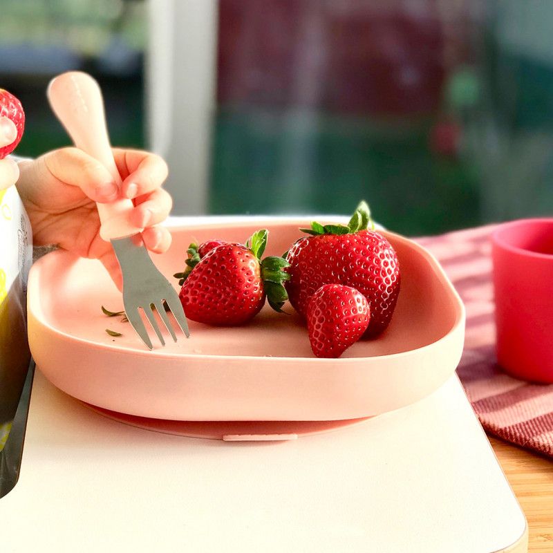 Assiette Avec Ventouse La Redoute Assiette Avec Ventouse La Redoute
