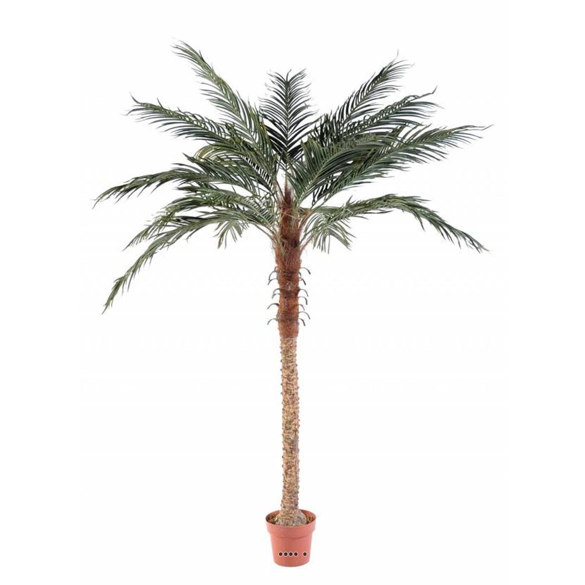 Palmier Phoenix Artificiel H210 cm D150 cm T, ARTIFICIELLES