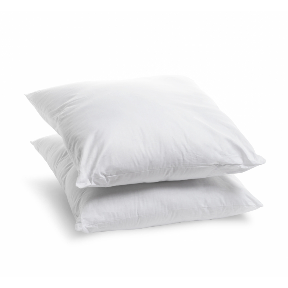 Lot De 2 Oreillers Décoratifs 50x80 Cm Hypoallergéniques Lavables – Confort Doux Pour Lit, Canapé Ou Déco Maison