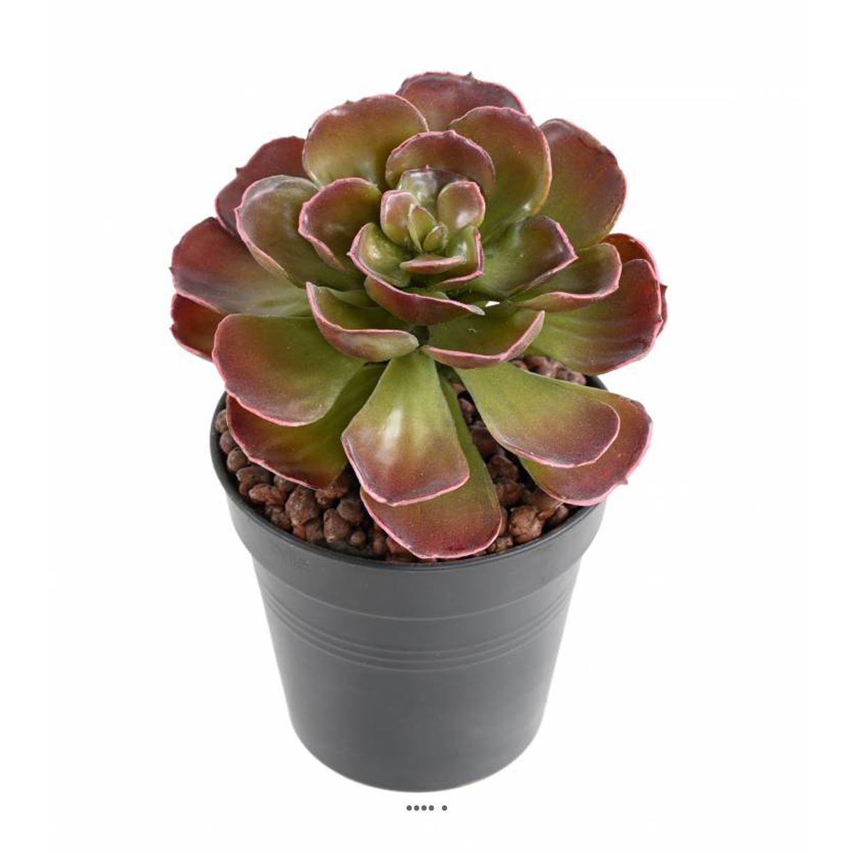 Magnifique Crassula artificiel H 22 cm, ARTIFICIELLES
