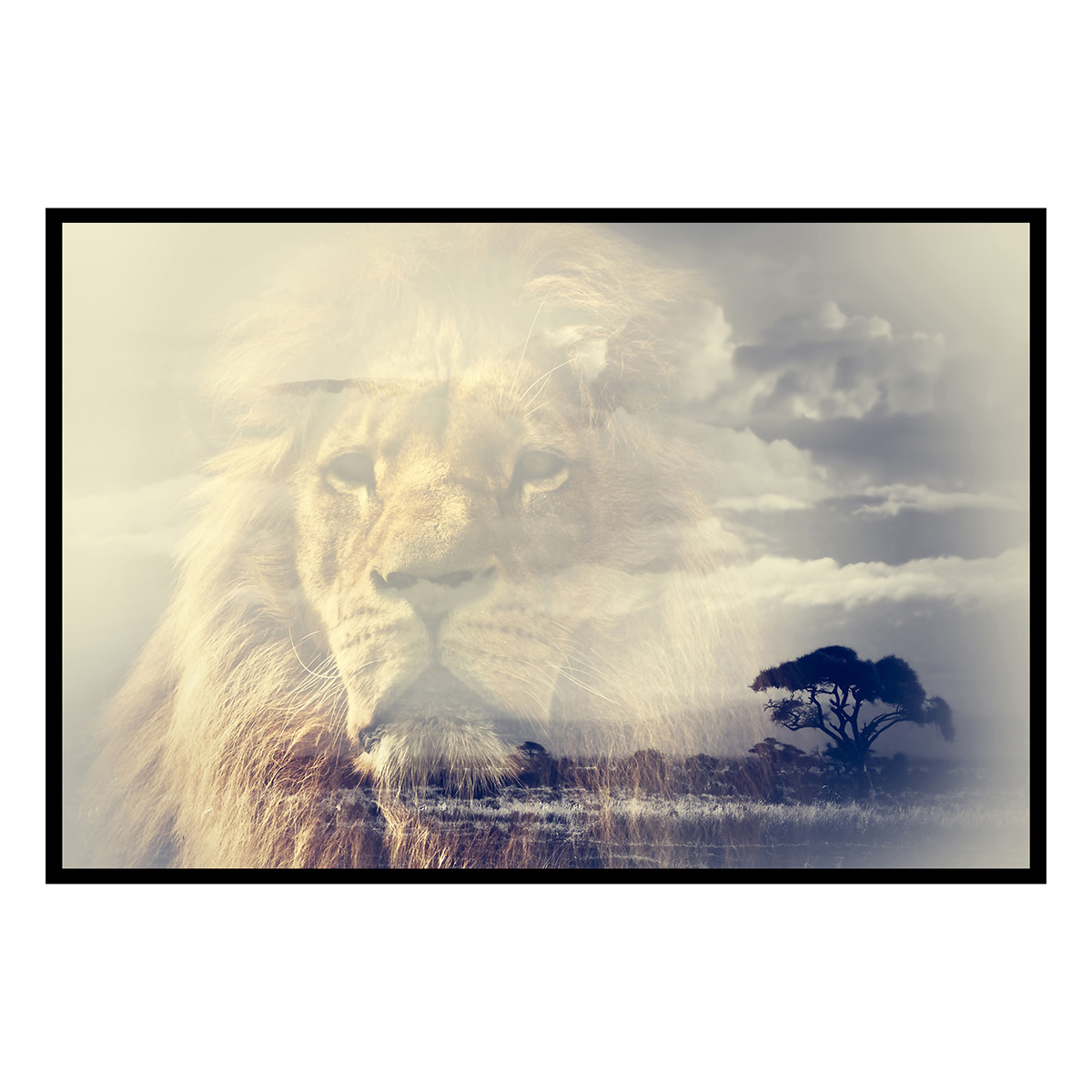 Affiche encadrée lion majestueux en double exposition, HEXOA