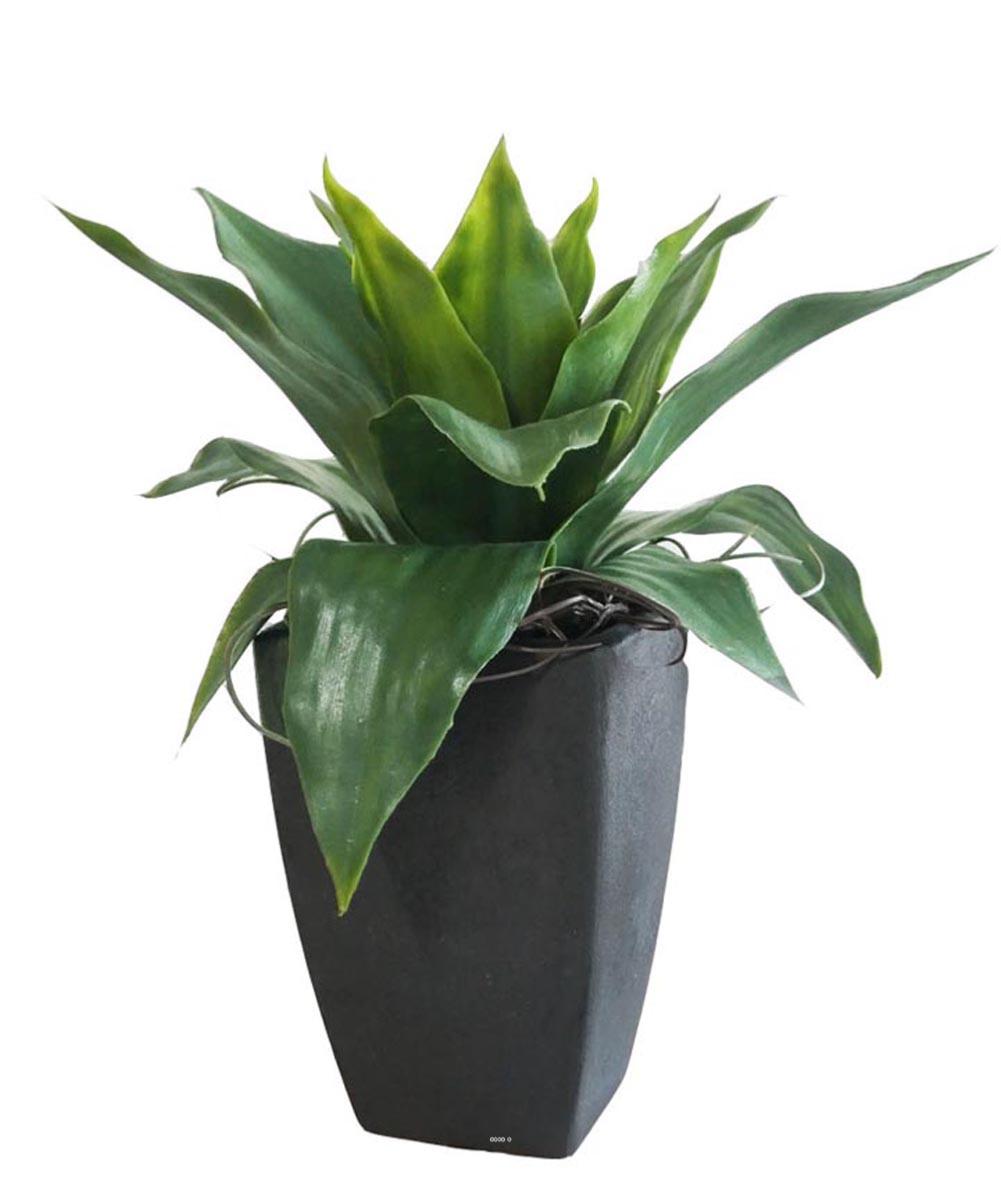 Agave Succulente plante artificielle cactée, ARTIFICIELLES