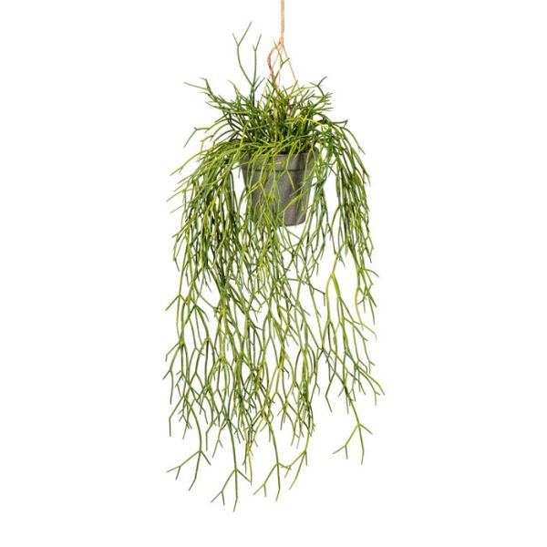 Fausse plante retombante rhipsalis L 60 cm, ARTIFICIELLES