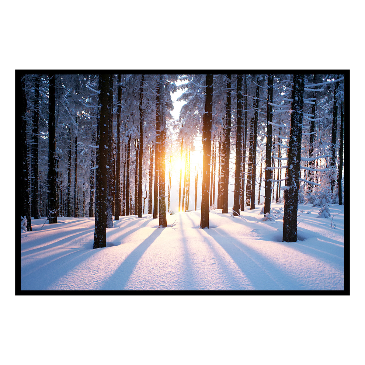 Affiche encadrée forêt enneigée au lever du soleil, HEXOA