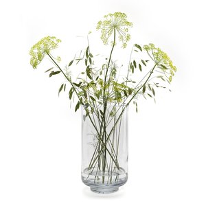 Vase en verre transparent, Livigo