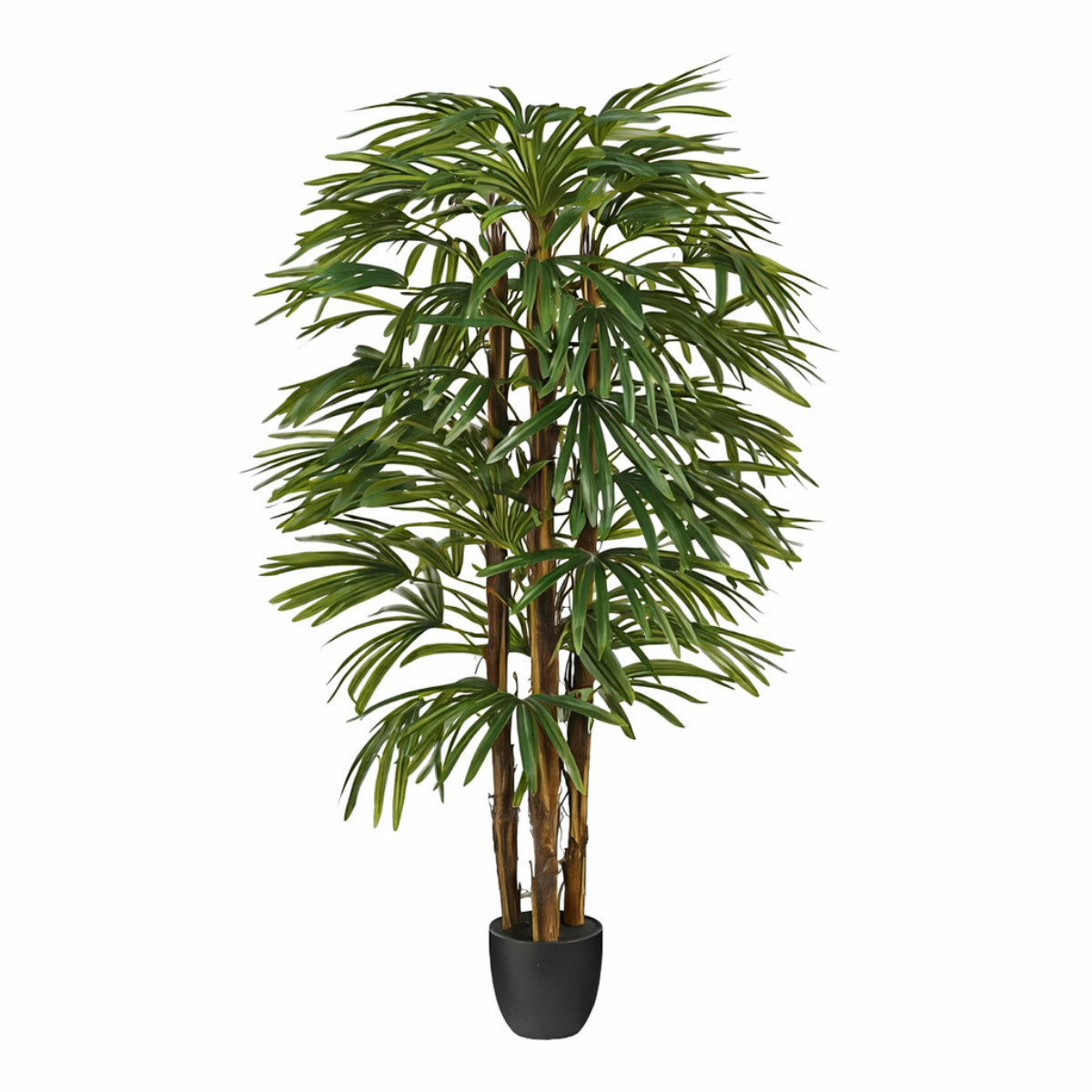 Plante artificielle RAPHIS PALM, MICA DECORATIONS