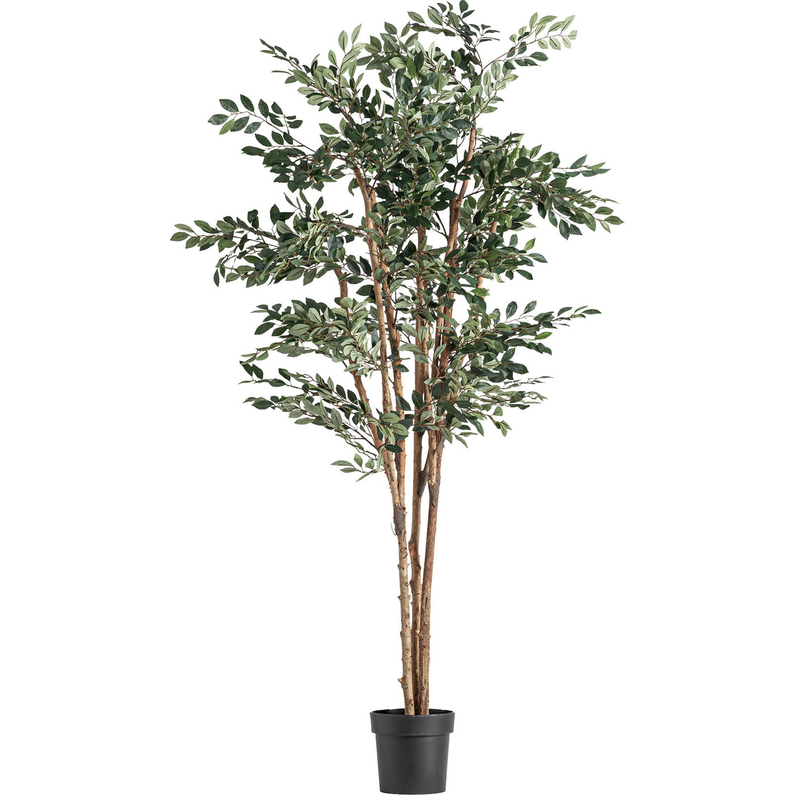 Ficus artificiel décoratif, RECOLLECTION