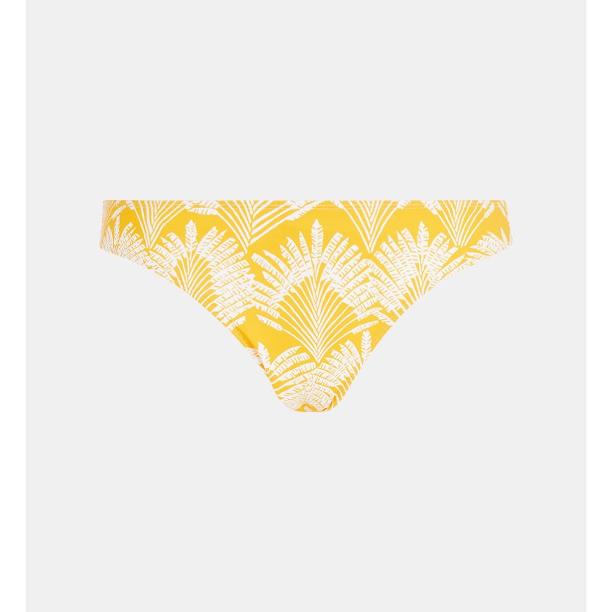 Culotte De Bain Arbre Tropical