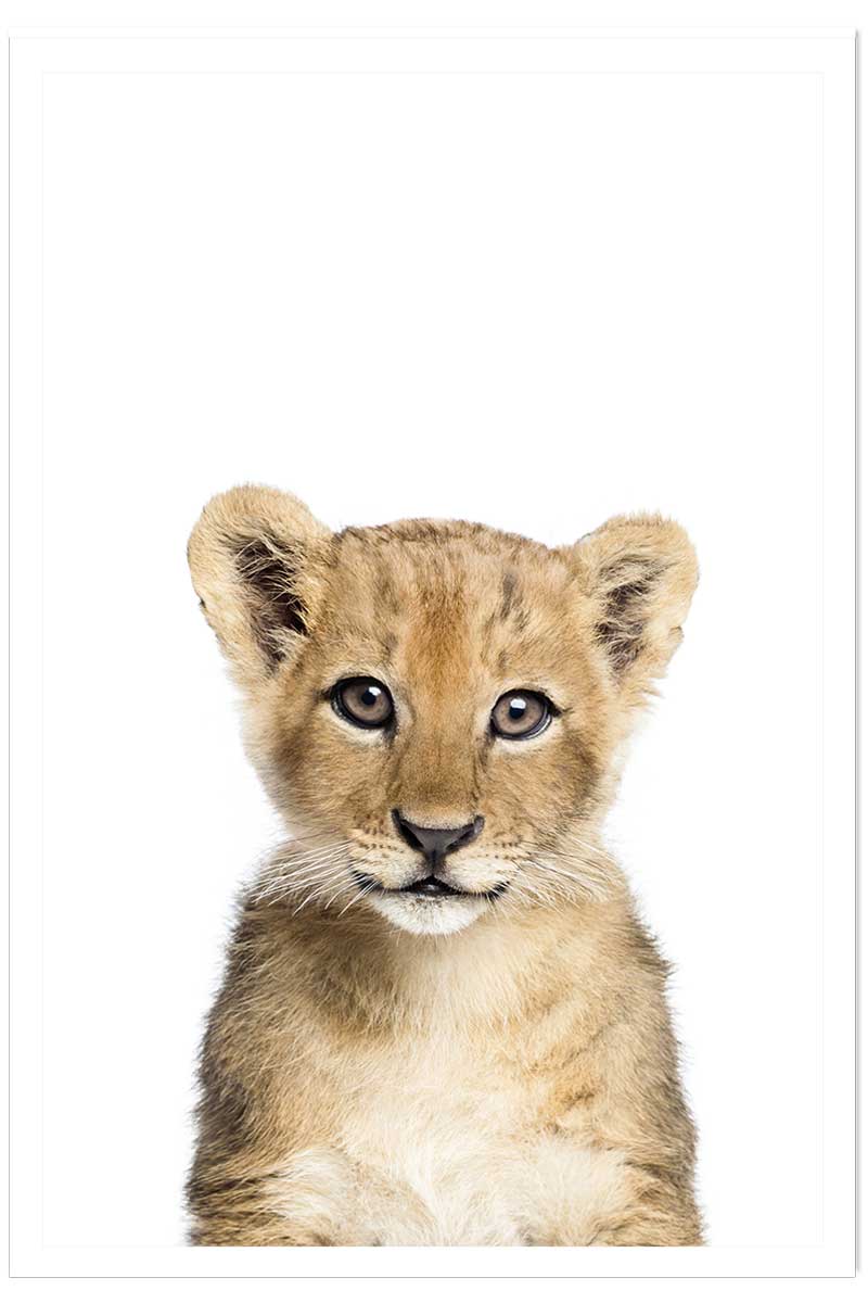 Affiche enfant bébé lionceau, HEXOA