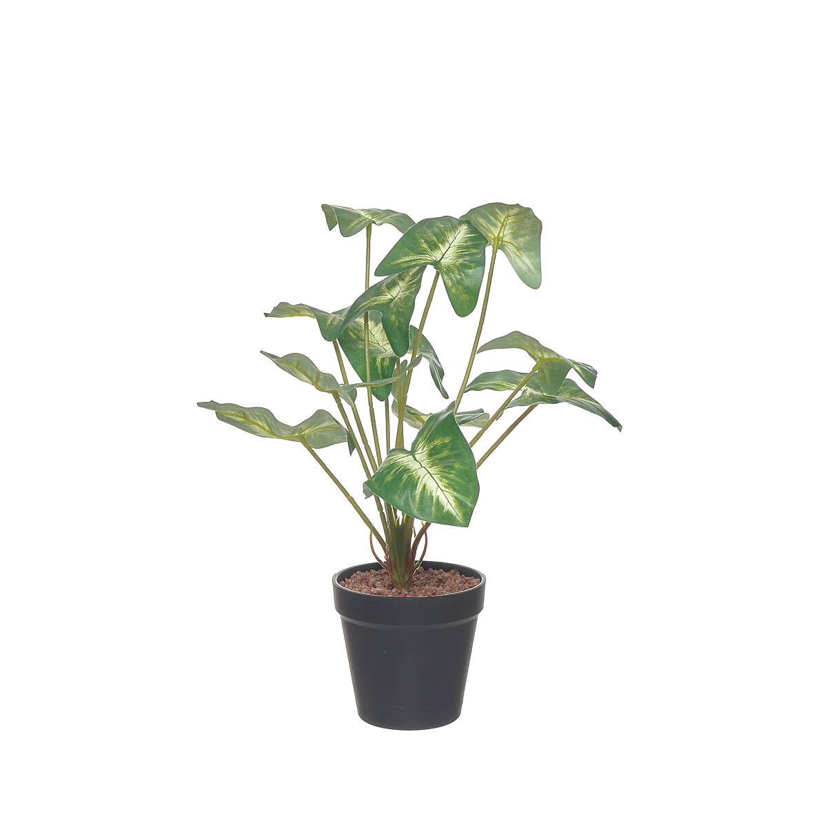 Planta artificial "Syngonium" 37cm, BORGHESI, BORGHESI