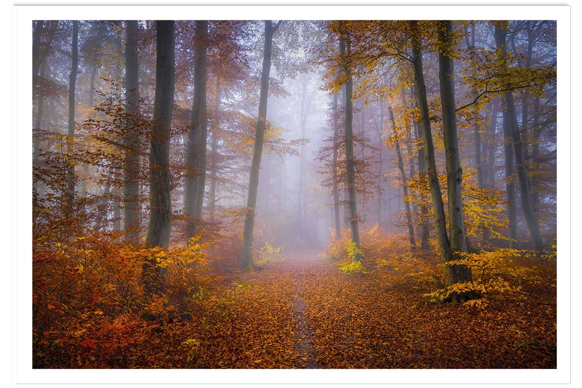 Affiche Chemin d'automne, HEXOA