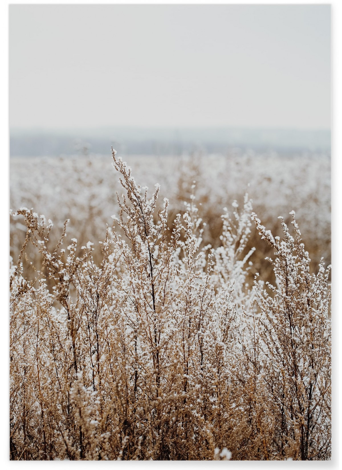 Poster Nature Winter 2, L'AFFICHERIE